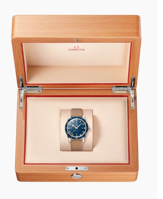SEAMASTER 300 Blue 41mm - Image 3